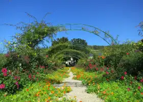 莫奈花園