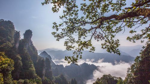 Fenglingu Forest Park