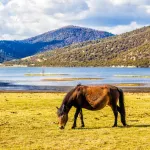Potatso National Park