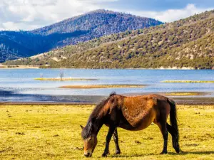 Potatso National Park