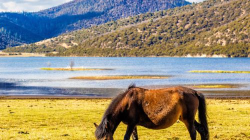 Potatso National Park