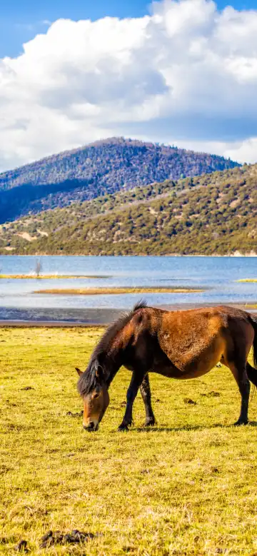 普達措國家公園附近的飯店