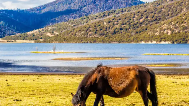 鄰近普達措國家公園的酒店