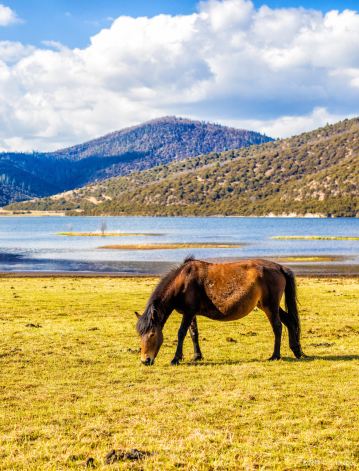 Potatso National Park