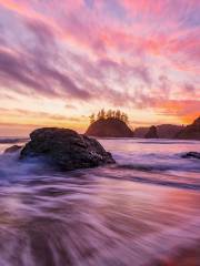 Trinidad State Beach