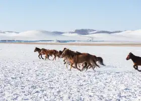 Ulan Butung Grasslands