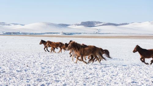 Ulan Butung Grasslands