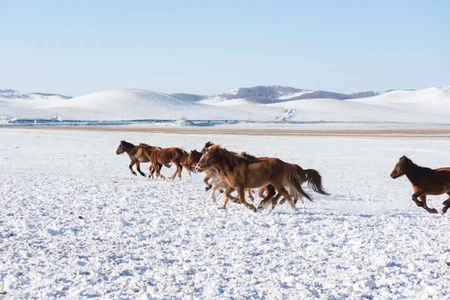 Ulan Butung Grasslands