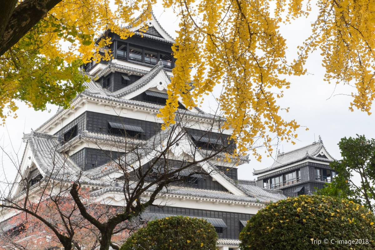 熊本紅葉景點 | 熊本城