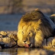 Botswana