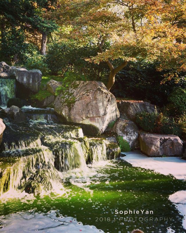 Kyoto Garden