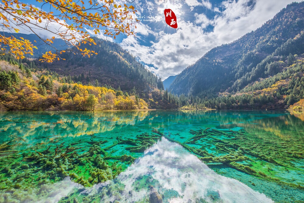 Cửu Trại Câu