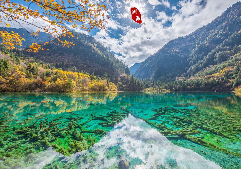 【九寨溝自由行】5天4夜九寨溝旅遊這樣玩，行程規劃懶人包全面看！