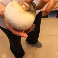 长顺河豚馆(江洲东路店) 여행 사진