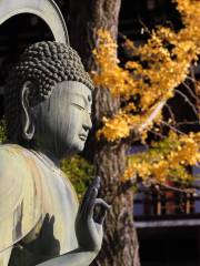 Konkai Kōmyō-ji Temple