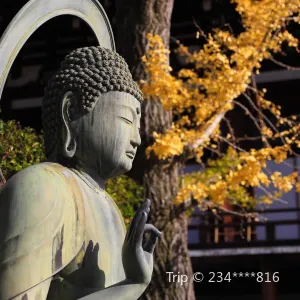 金戒光明寺