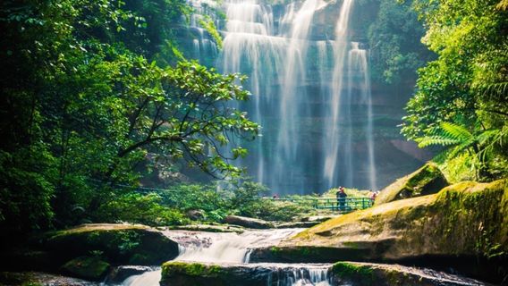 Jurassic Park of China