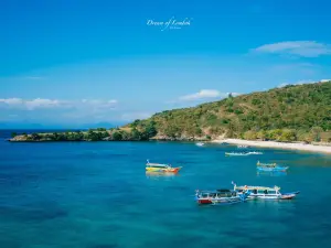 Pink Beach