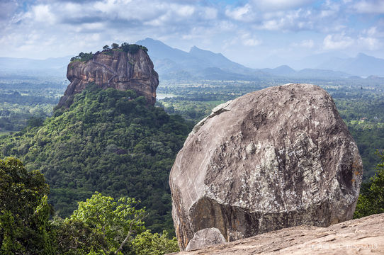 Pidurangala Rock