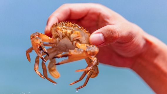 Beachcombing in Shengsi