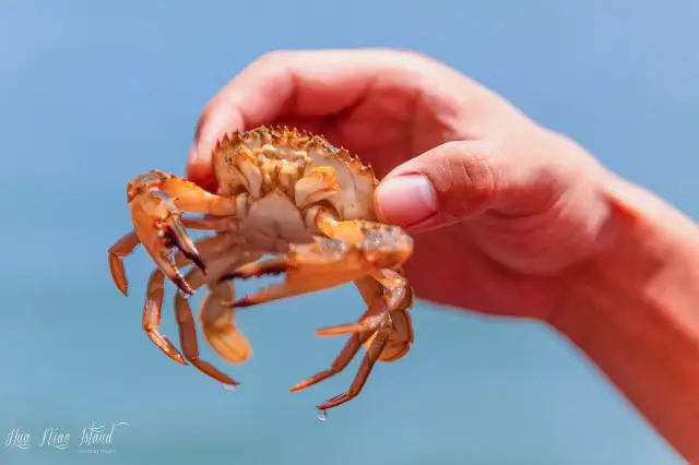 Beachcombing in Shengsi