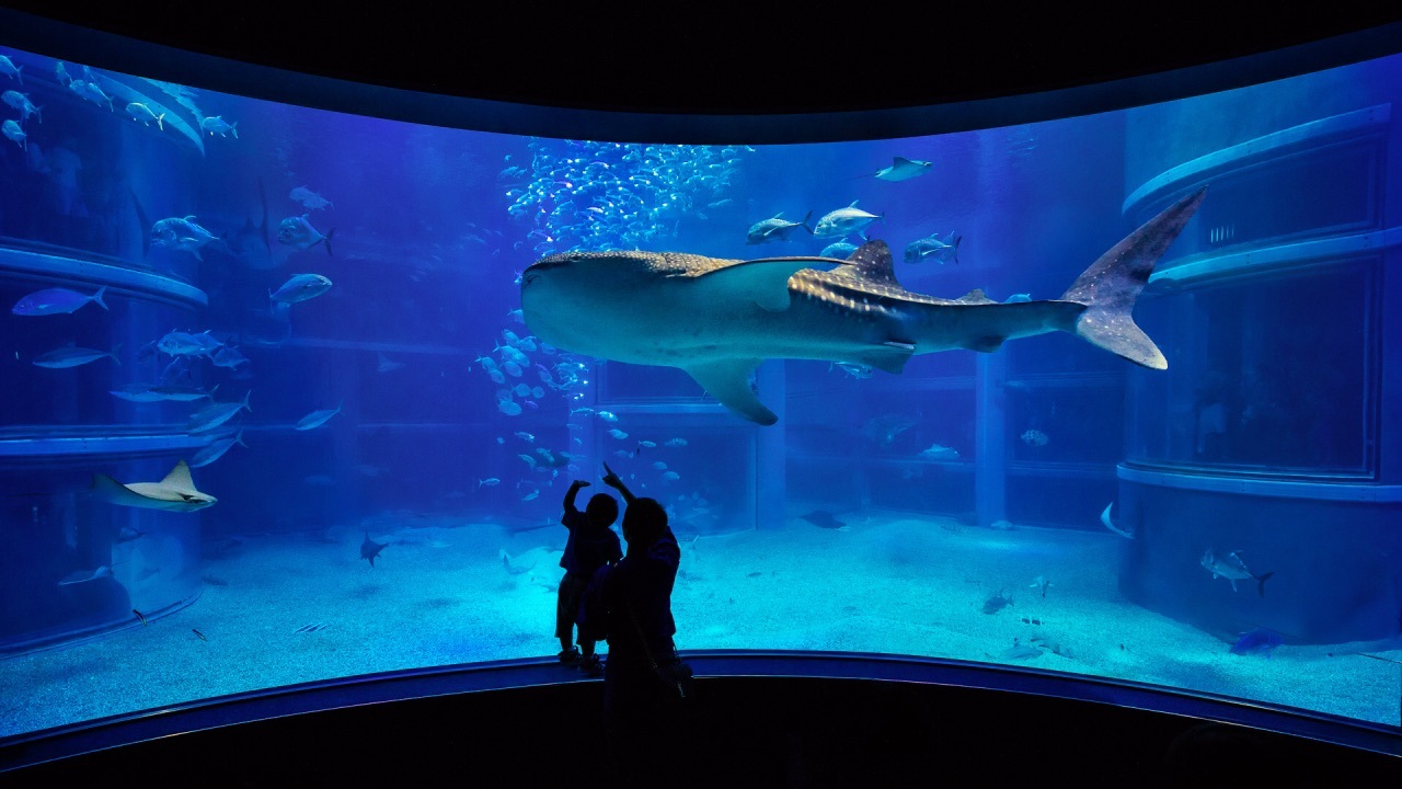 10020z000000ni1x93119.jpg?proc