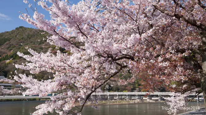 3_渡月橋