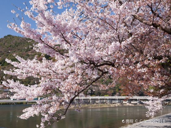 渡月橋