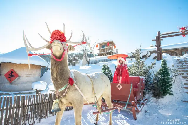 Snow Sledding in Mudanjiang