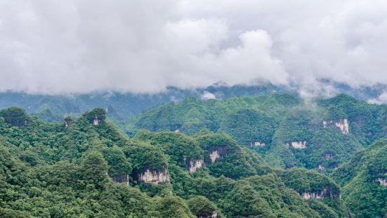 夢幻黑沖