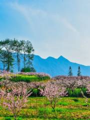 五里村