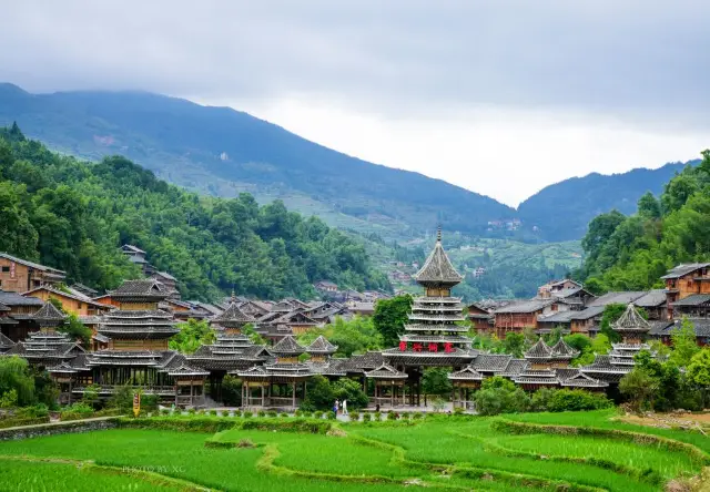 Terraced Fields Viewing in Liping