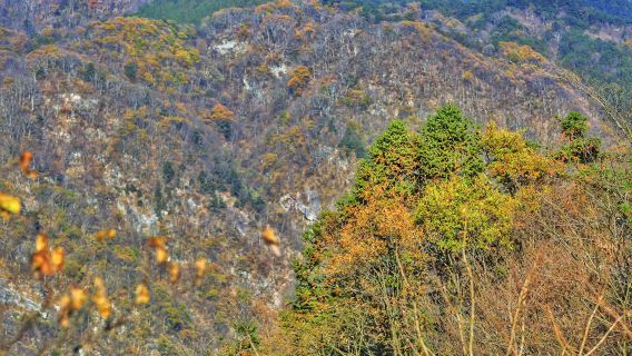 英山日遊