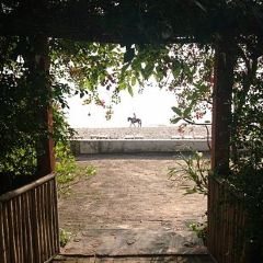 Veranda Lodge User Photo