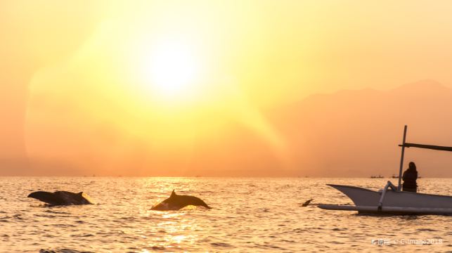 峇里島：羅威納觀海豚+水神廟+雙子湖+善惡門一日遊