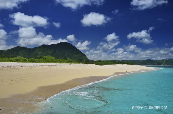 トランサヴィアのバリ島行き航空券