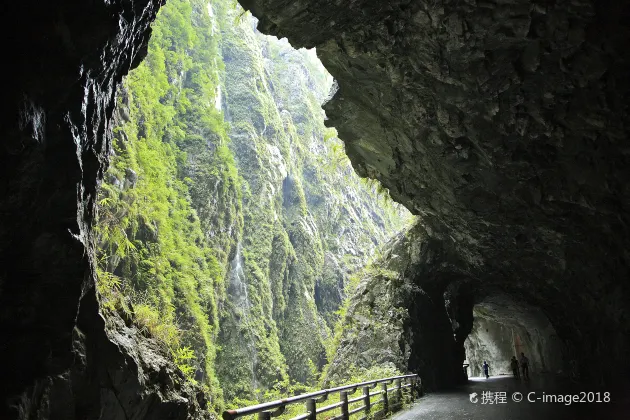 嘉義行藝文旅的評價