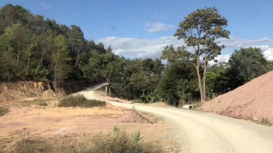 在家勐海游玩，除了感受到天然森林带给人的震撼之外，布朗山寨也