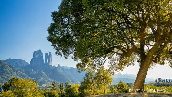 2人起獨立包團江郎山廿八都古鎮一日遊衢州上門接送