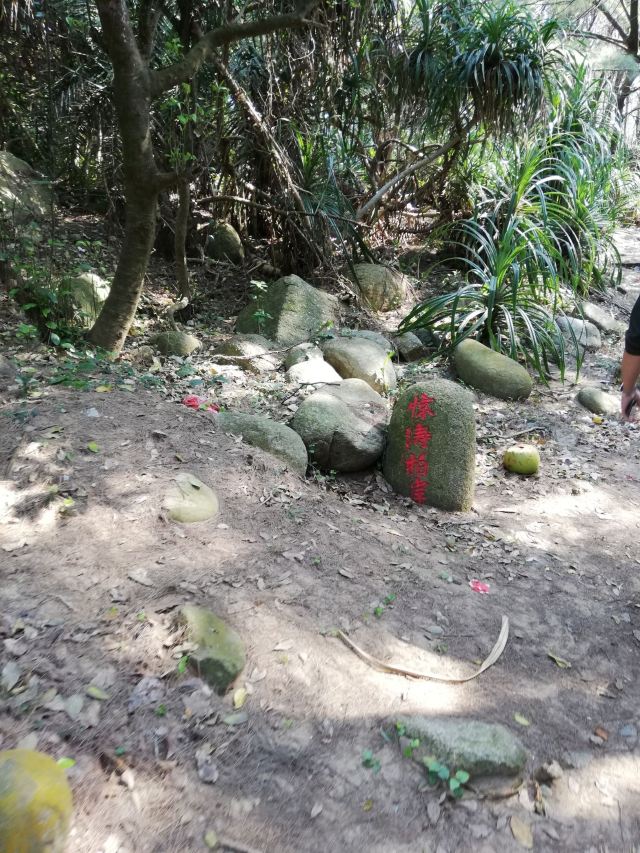 Dahua Jiao