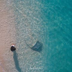 Dream Hut Fulidhoo 여행 사진