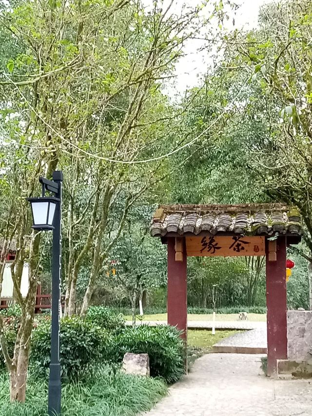 무이궁