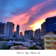 Pad Thai張用戶圖片