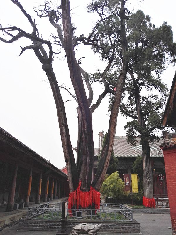 Ancient City of Three Temples