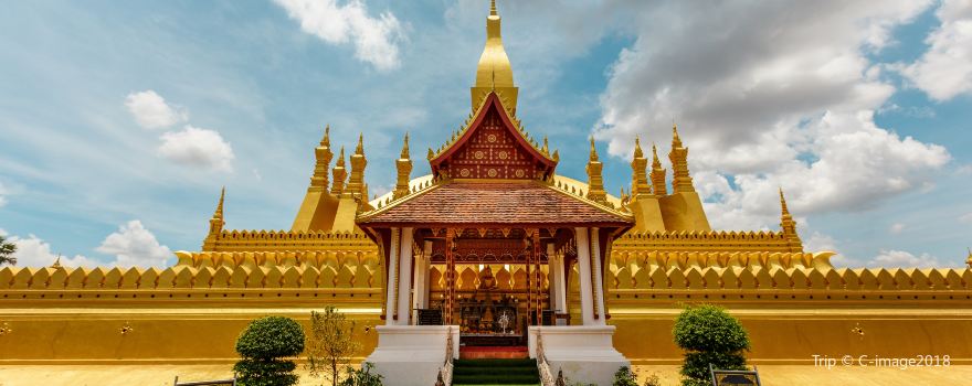 탓 루앙 사원(황금사원)