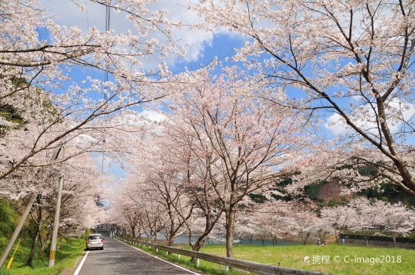 서울-사가 항공권
