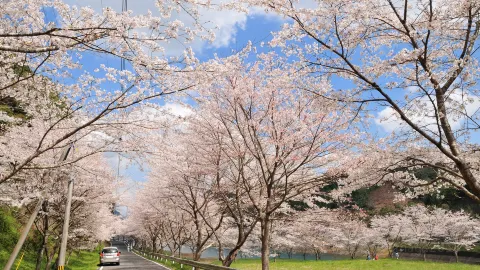 佐賀市 travel destination