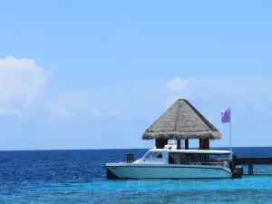 Mudhdhoo