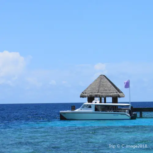 Mudhdhoo