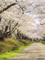 Noboribetsu Onsen Flower Tunnel